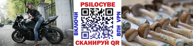 Купить закладки  Юрга  Псилоцибиновые грибы Psilocybe 